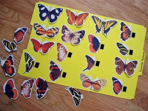 Butterfly Matching File Folder Game Preschool Games Folder Games