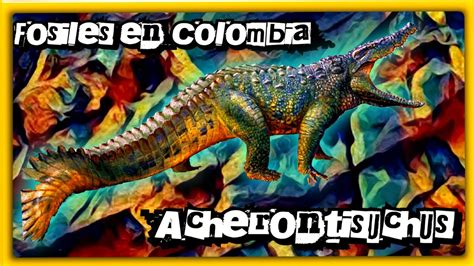 Fosil Acherontisuchus Guajiraensis 🦕 Youtube