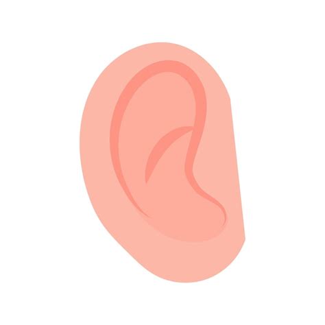 Premium Vector Vector Human Ear Isolated Illustration