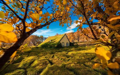 Iceland Church Autumn Fall Leaves Field Nature Hd Wallpaper Peakpx