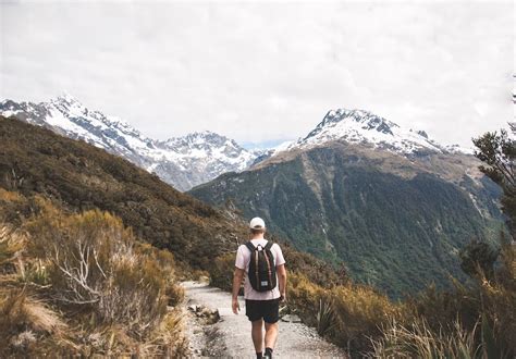 Best 20 Walks In New Zealand Multi Day And Day Hikes Days To Come