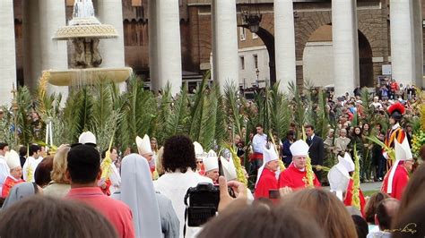 Palm Sunday In Vatican Trips By Liz