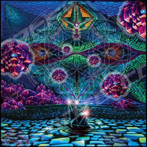 Machine World Machine Elves Dmt