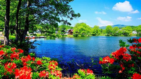 Beautiful Lake Surrounded By Trees Plants Flowers And House Hd Nature