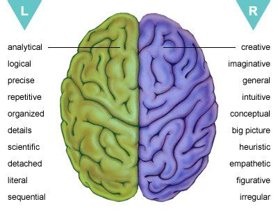 Seorang peneliti bernama roger sperry menemukan bahwa otak otak kanan berfungsi dalam hal persamaan, khayalan, kreativitas, bentuk atau ruang, emosi, musik dan warna. Ilmu Masa Depan: OTAK KIRI DAN OTAK KANAN PADA MANUSIA