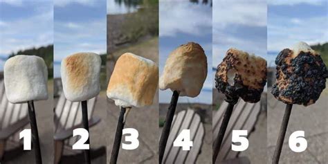 On A Scale Of To Six How Do You Like Youre Marshmallow Roasted Im A