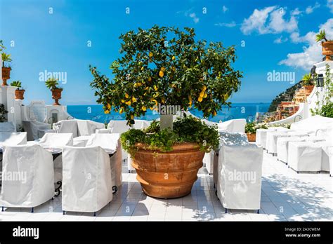 Lemon Tree In The Beautiful Italian Town Of Positano On The Amalfi