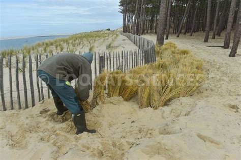 Erosion Le Littoral Aquitain Sous Surveillance Look At Sciences