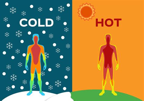 From Hot To Cold And Cold To Hot Fabrics That Work With Your Body