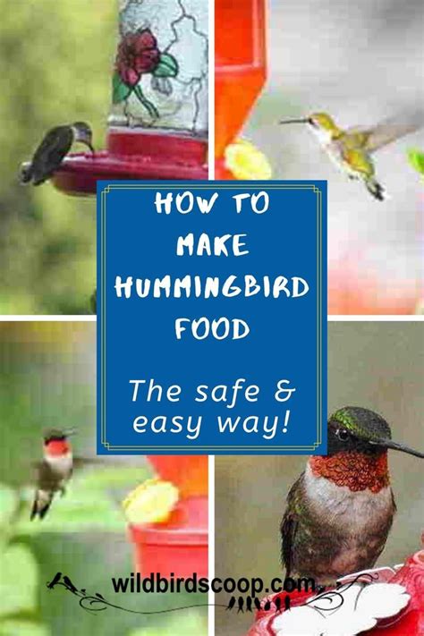 We did not find results for: Hummingbird Food Made The Right Way To Keep Birds Safe ...