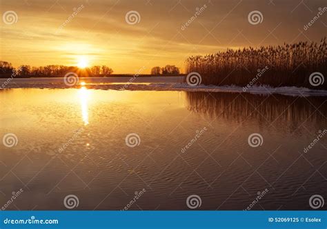 Landscape With River Reeds And Sunset Sky Stock Image Image Of Cold