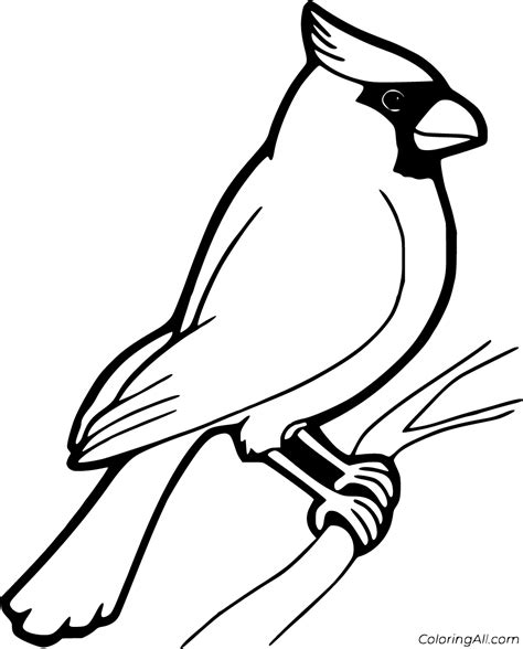 Cardinal Coloring Pages 29 Free Printables Coloringall