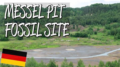 Messel Pit Fossil Site Unesco World Heritage Site Youtube