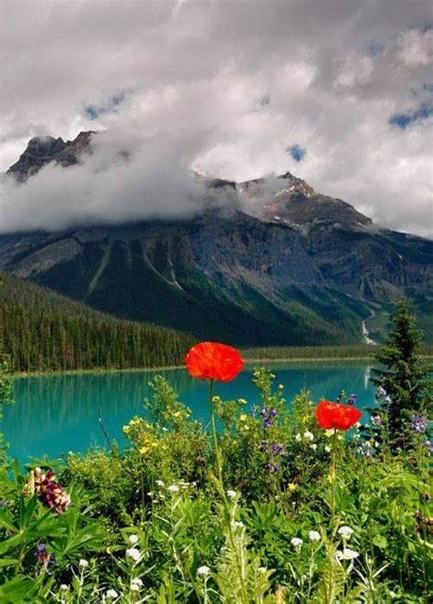 British Columbia Beautiful Landscapes Beautiful Places Nature