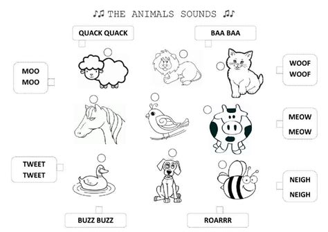 Animal Sounds Worksheet For Year 1 Live Worksheets