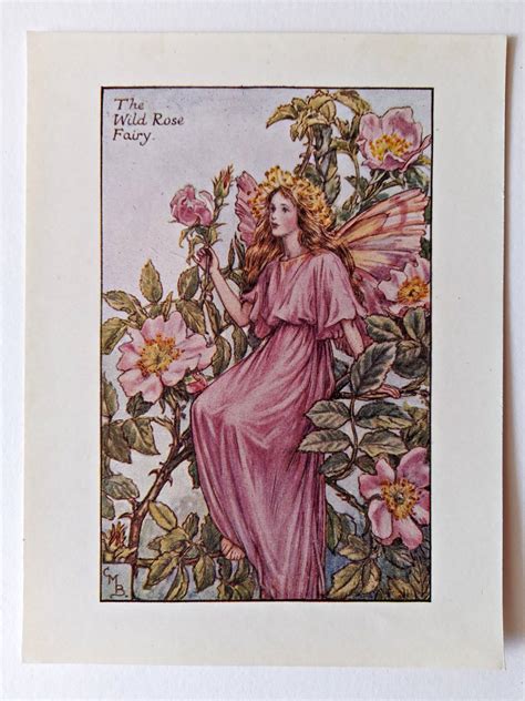 Wild Rose Flower Fairy Print Flower Fairy Prints