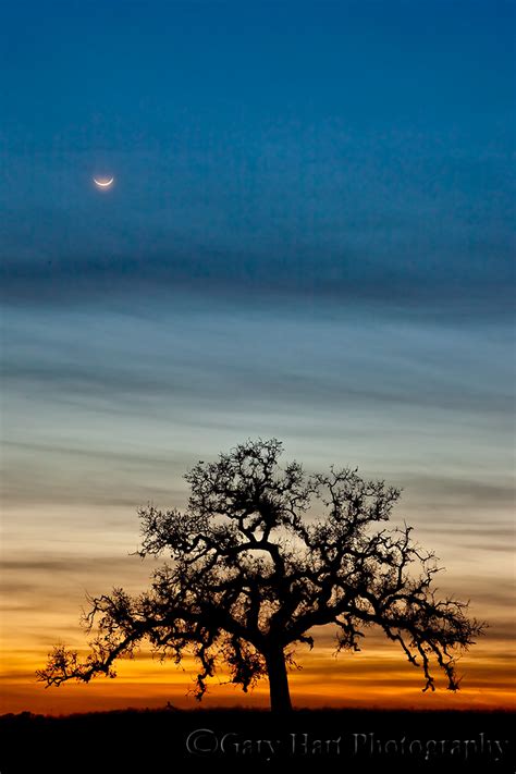 Crescent Moon Eloquent Nature By Gary Hart