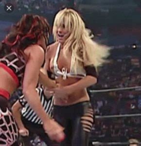 The 10 Most Revealing Oops Moments In WWE TV History NSFW Celebs
