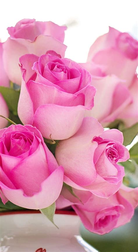 Love Romantic Pink Rose Romantic Love Flowers Hd Phone Wallpaper Pxfuel