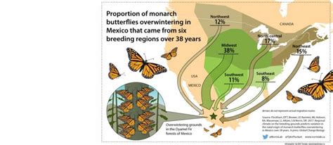 Monarch Butterfly Migration Map