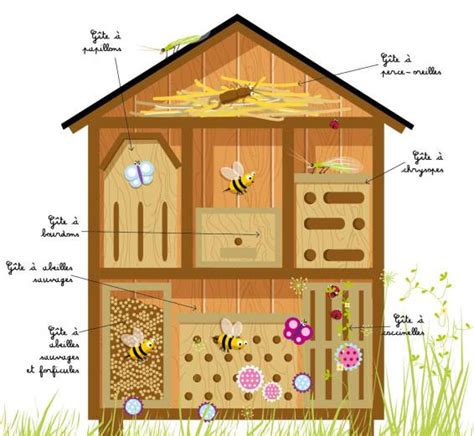 Construire Un Hôtel à Insectes Dans Votre Potager Potager Et Jardin