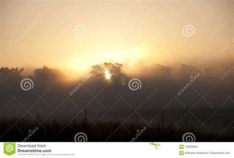 Early Morning Sunrise Through The Mist Stock Image Image Of Nature