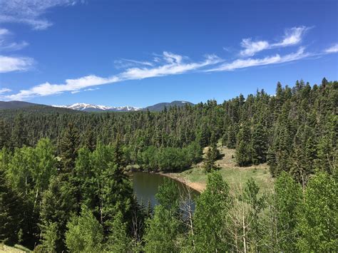 The Thrill of the Chase Treasure Hunt and Six Questions with Randawg