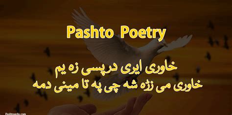 Pashto Poetry Sms 100 Pashto Sherona 2021 پشتو شعرونه