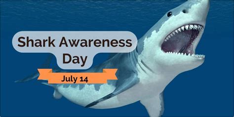 Shark Awareness Day 14th July Ministry Of Wildlife And Forest