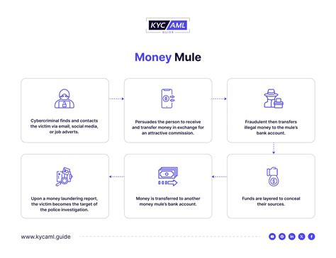 How To Identify And Prevent Money Mule Scam Kyc Aml Guide