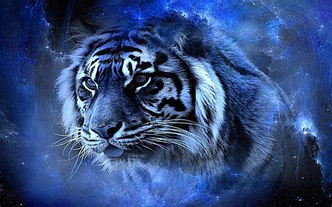 You will definitely choose from a huge number of pictures that option that will suit you exactly! Cool Tiger Backgrounds - Wallpaper Cave