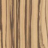 Types Of Wood In Georgia