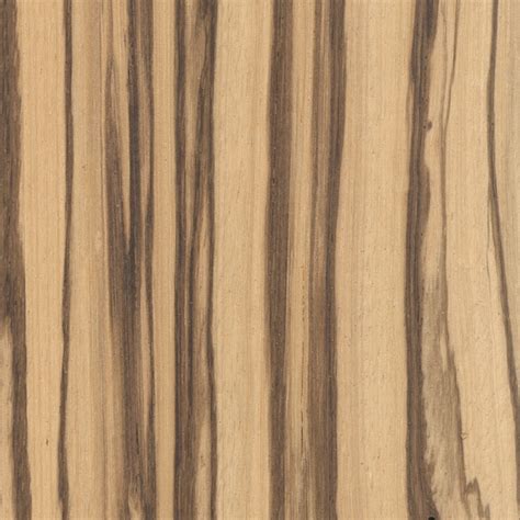 Zebrawood The Wood Database Lumber Identification Hardwood