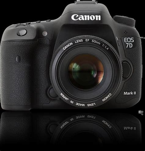 Canon Eos 7d Mark Ii Review With Images Canon Eos Canon Dslr