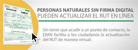 Actualizar el registro único tributario desde el sitio web, facilitará el proceso para la obtención de este documento. Actualizar RUT en Linea | La Economia de Hoy