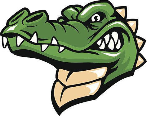 Best Alligator Illustrations Royalty Free Vector Graphics And Clip Art