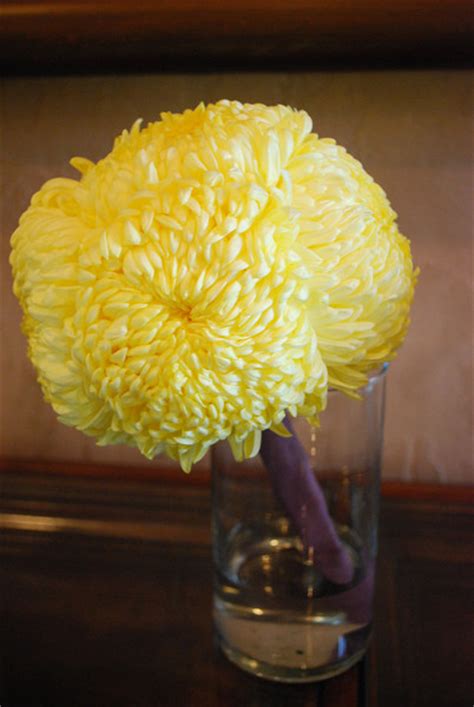 Yellow Bouquet Help