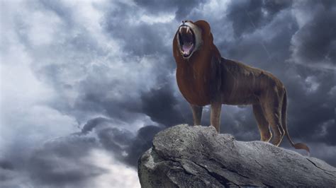 1920x1080 Simba In The Lion King 2019 Movie 1080p Laptop Full Hd