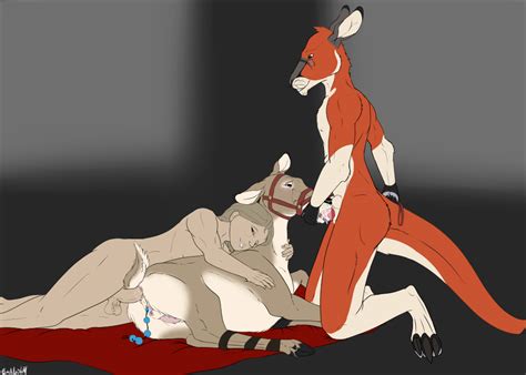 Rule 34 Anal Anal Sex Anthro Anthro On Feral Anus