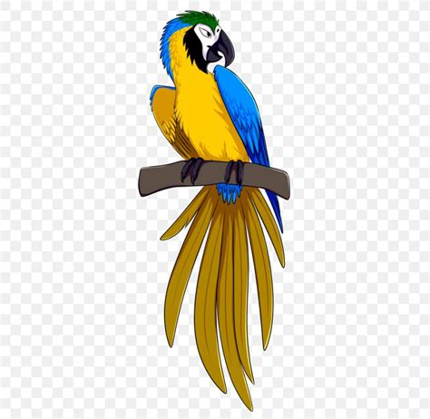 Blue And Yellow Macaw Parrot Bird Rio Png 323x800px Macaw Art Beak