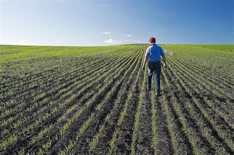 A pest is any animal or plant harmful to humans or human concerns. What Is an Agrarian Society?