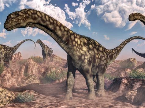 Superhearing And Fast Growth Scientists Learn Why Sauropods Ruled
