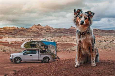 Interessiert an mehr eigentum zur miete? Wohnmobil mieten mit Hund: Tipps für den Camper-Urlaub mit ...