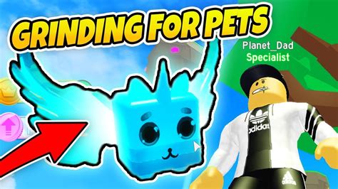 Pet simulator codes 2021 is here with all the pet simulator codes you will need releasing by this february 2021 and what are the most important pet the pet ranch simulator 2 codes will be useful for the game as all the pet simulator codes 2021 give you a reward worthy of your time and try. ALL CODES PET RANCH SIMULATOR - Grinding For Pets (Roblox ...