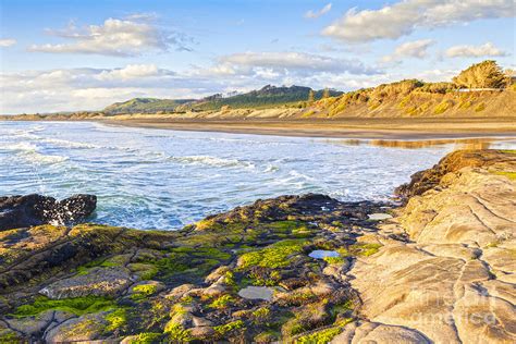 Muriwai Beach Auckland New Zealand Photograph By Colin And