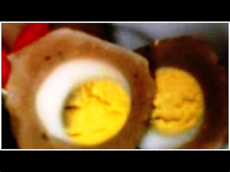 Tidak perlu cemas soal rasa, ada banyak menu makan siang untuk diet sehat nggak kalah lezat dibanding menu biasa. Resep Masakan Indonesia Bakso Menu Makanan Diet Sehat ...