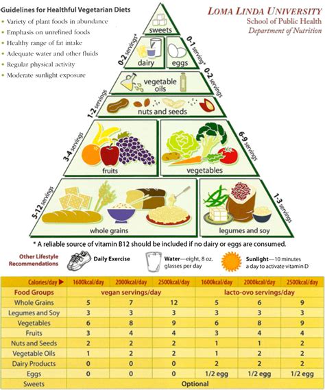 Vegetarian Food Guide Pyramid Guidelines For Healthful Vegetarian Diets