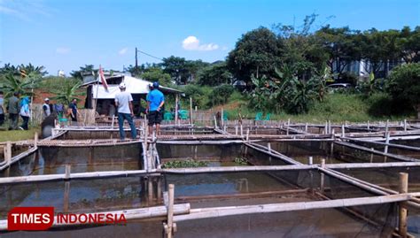 Indah Kiat Tangerang Bantu Warga Tingkatkan Kualitas Budidaya Ikan Lele