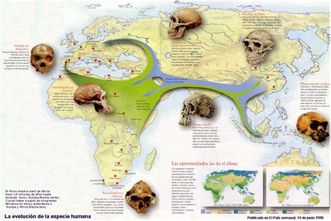 Ciencias Para El Mundo ContemporÁneo La Evolución De La Especie Humana