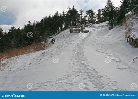 Snowy Mountain With Tracks Uphill In The Asheville North Carolina Stock